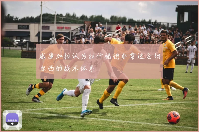 威廉加拉认为拉什福德非常适合切尔西的战术体系